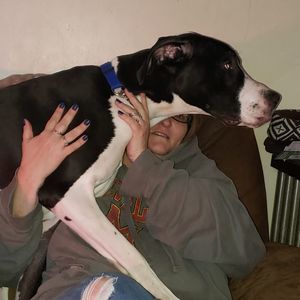 Meet your Posher, Jody